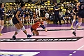 MAS_5017