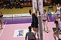 MAS_5071