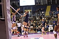 MAS_5164