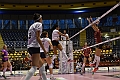 MAS_6647