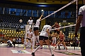 MAS_6653