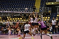 MAS_6791