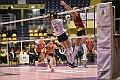 MAS_6892