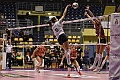 MAS_6916