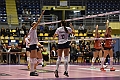 MAS_6919