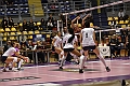 MAS_6946