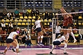 MAS_6964