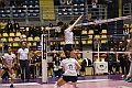 MAS_6971