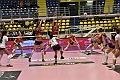 MAS_7029