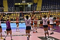 MAS_7033