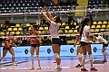 MAS_7046