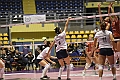 MAS_7067