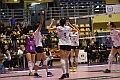 MAS_7073