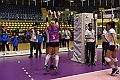 MAS_7241