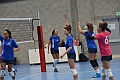 MAS_5446