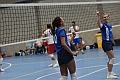 MAS_5493