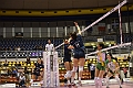 MAS_0253