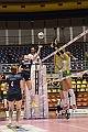 MAS_0272