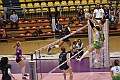 MAS_0320