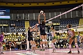 MAS_0444