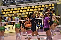MAS_0564