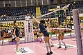 MAS_0733