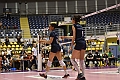 MAS_0846