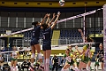 MAS_0862