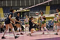MAS_0893