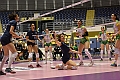 MAS_0894