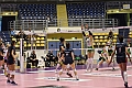 MAS_0906