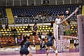 MAS_1047