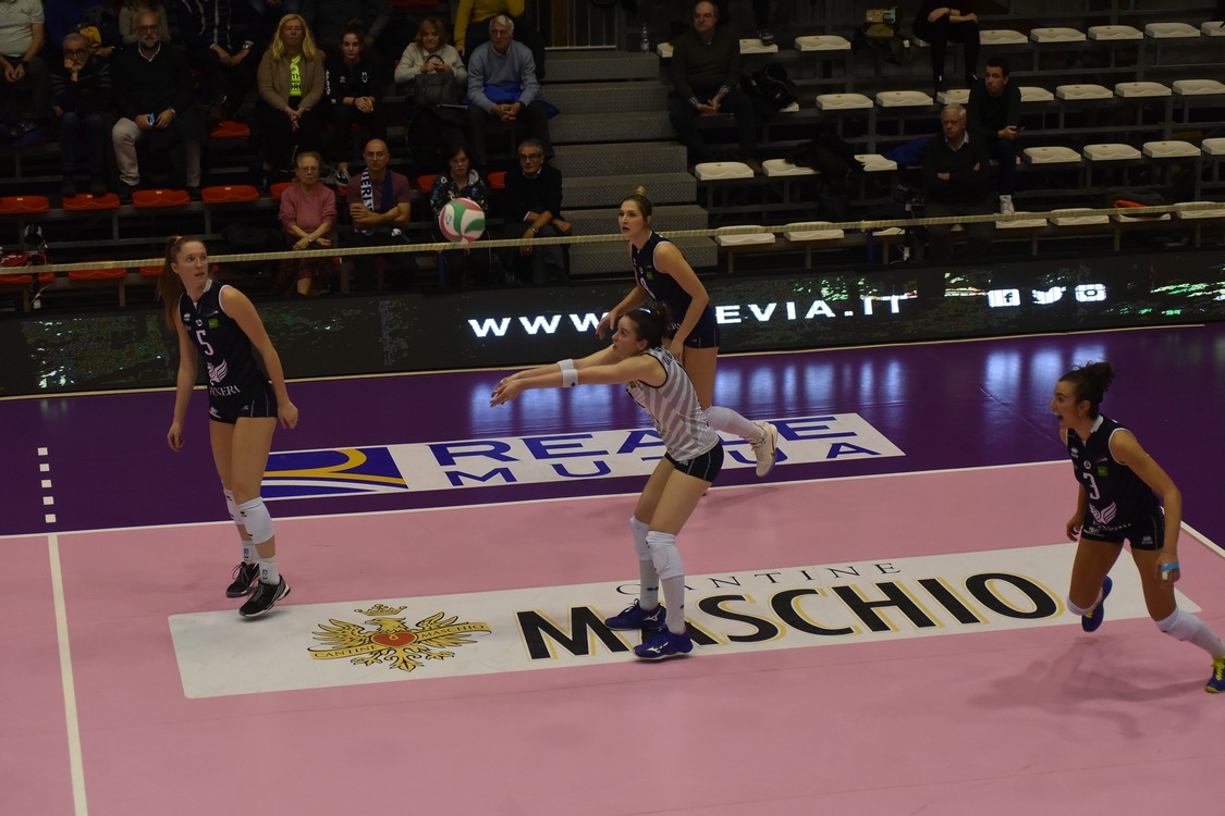 MAS_3580.jpg