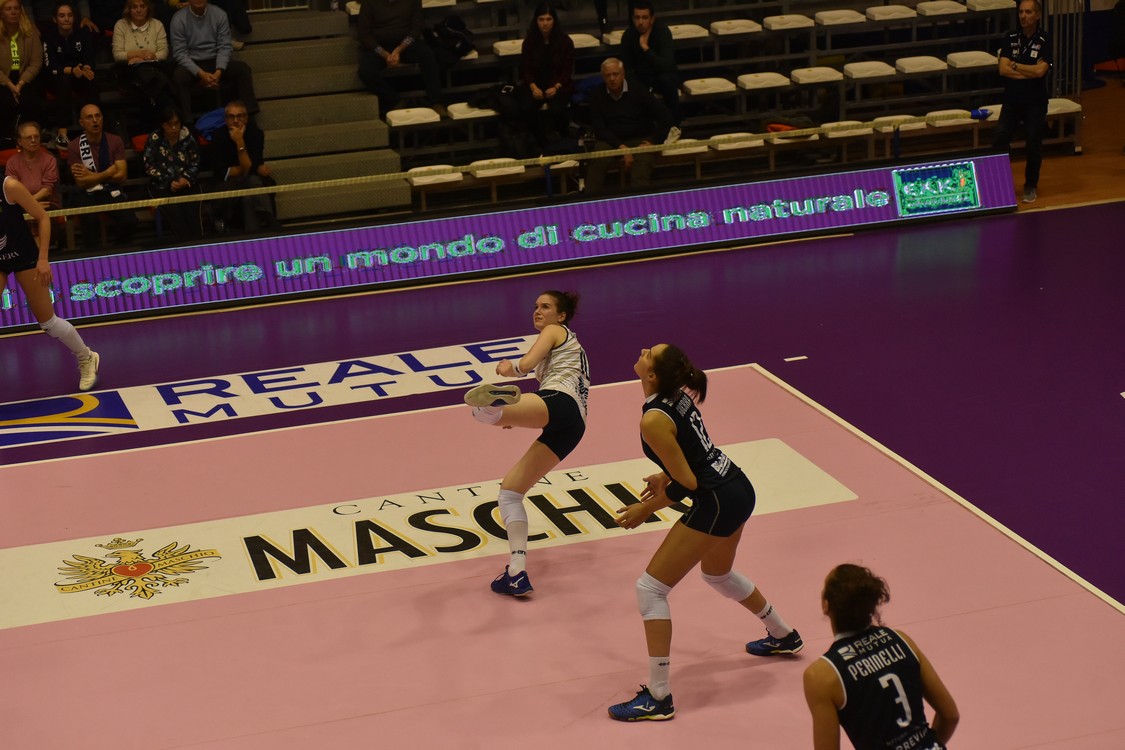 MAS_3638.jpg