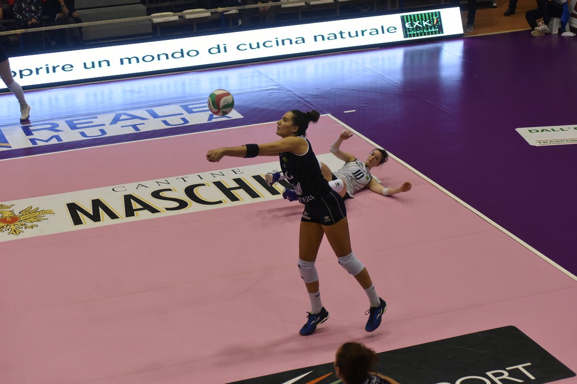 MAS_3639.jpg
