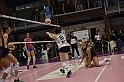 MAS_3377