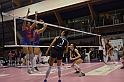 MAS_3394