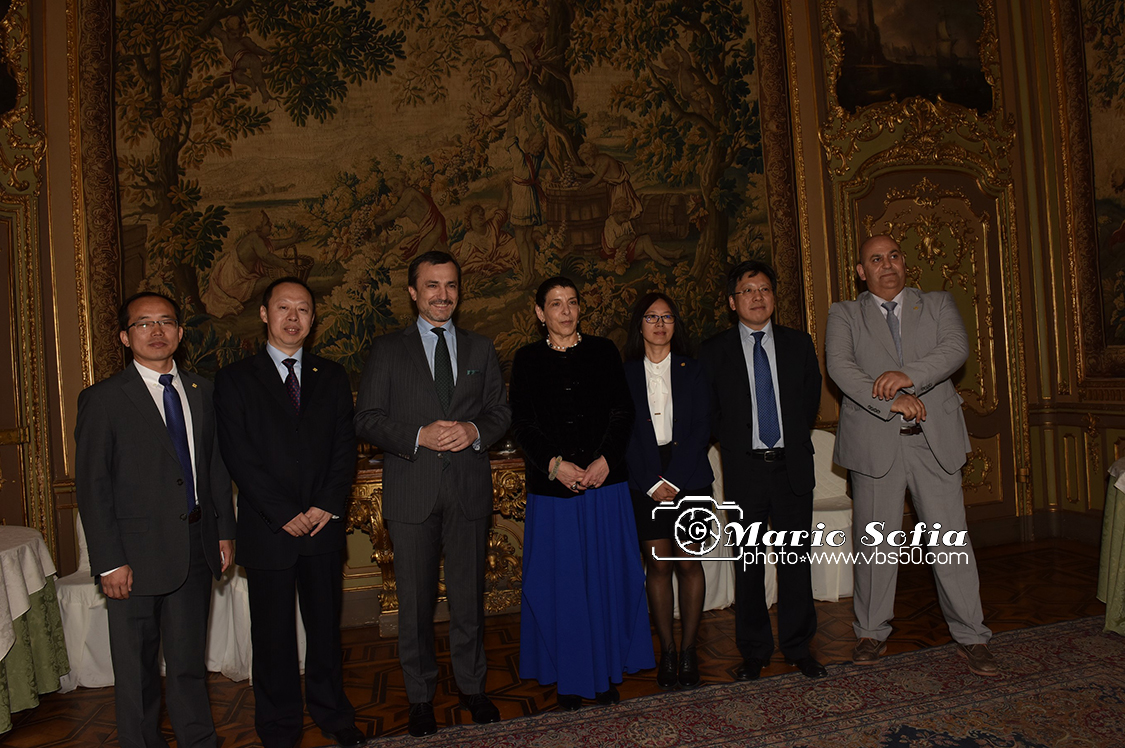 MAS_8130FotoMarioS.jpg