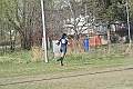 MAS_10003