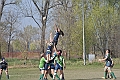 MAS_10074