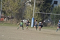 MAS_10084