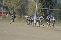 MAS_10087