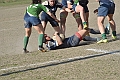 MAS_10142