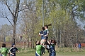 MAS_10184