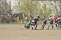 MAS_10193