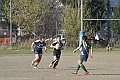 MAS_10197