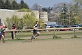 MAS_10268