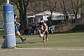 MAS_10286