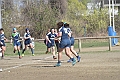 MAS_9587