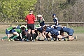 MAS_9596
